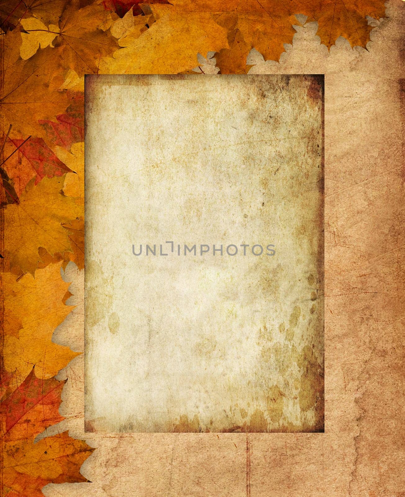 Abstract Background Composition - Autumn Leaves with empty board