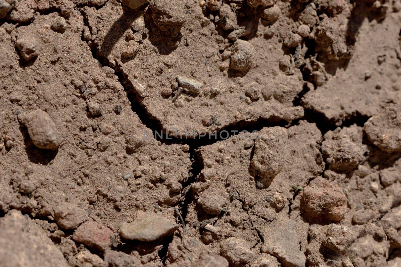 parched
