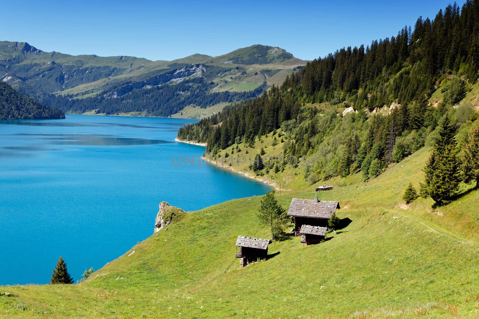grass and lake