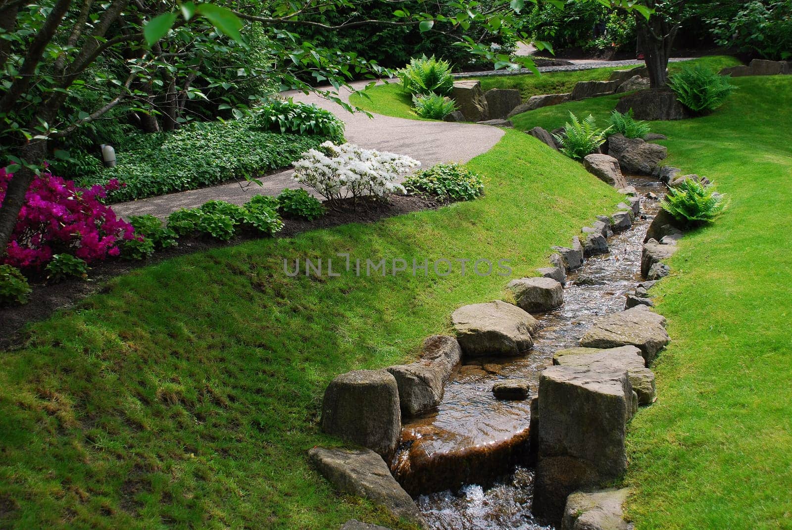In the Japanese garden