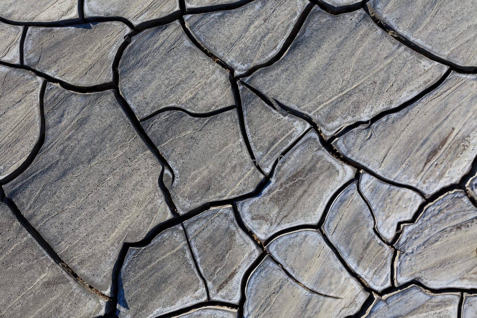 a nice texture on a dry land