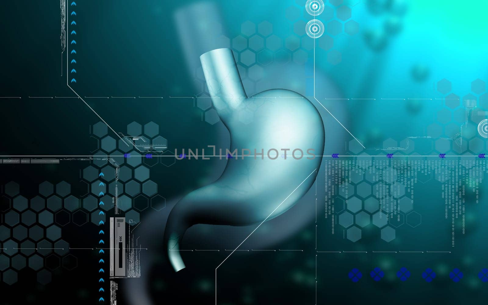 Digital illustration of stomach in colour background