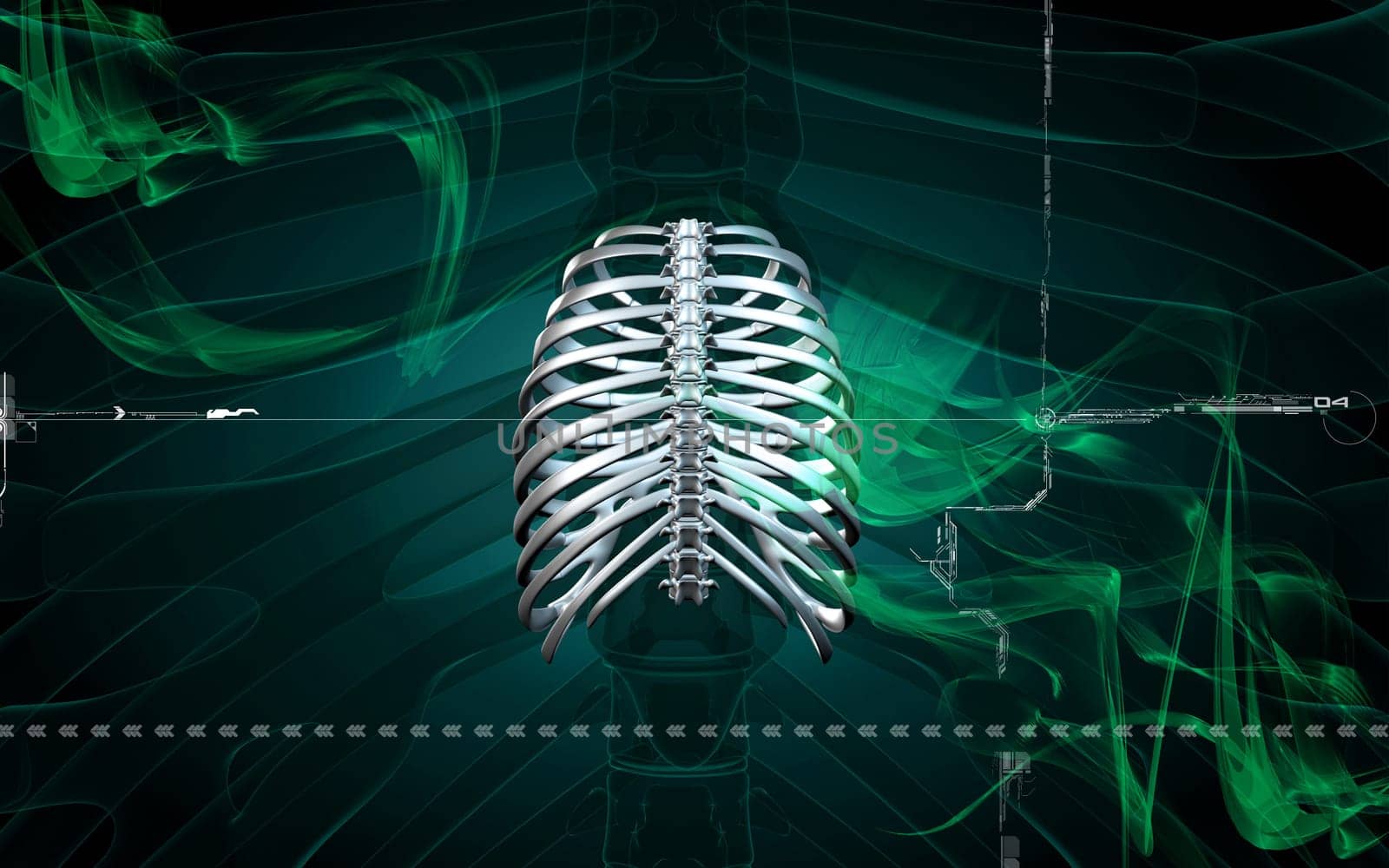 Digital illustration of rib cage in colour background