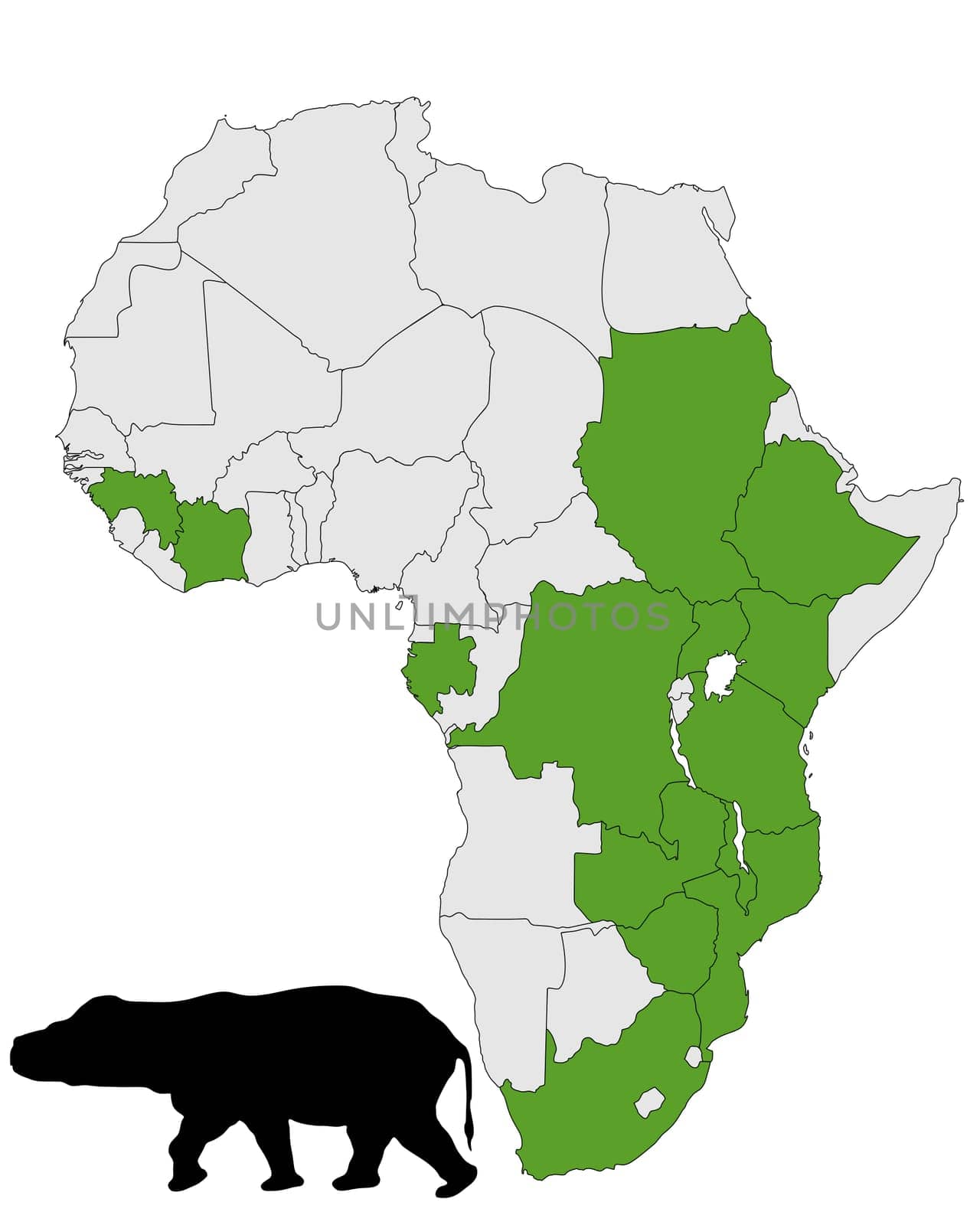 Hippopotamus Africa Distribution