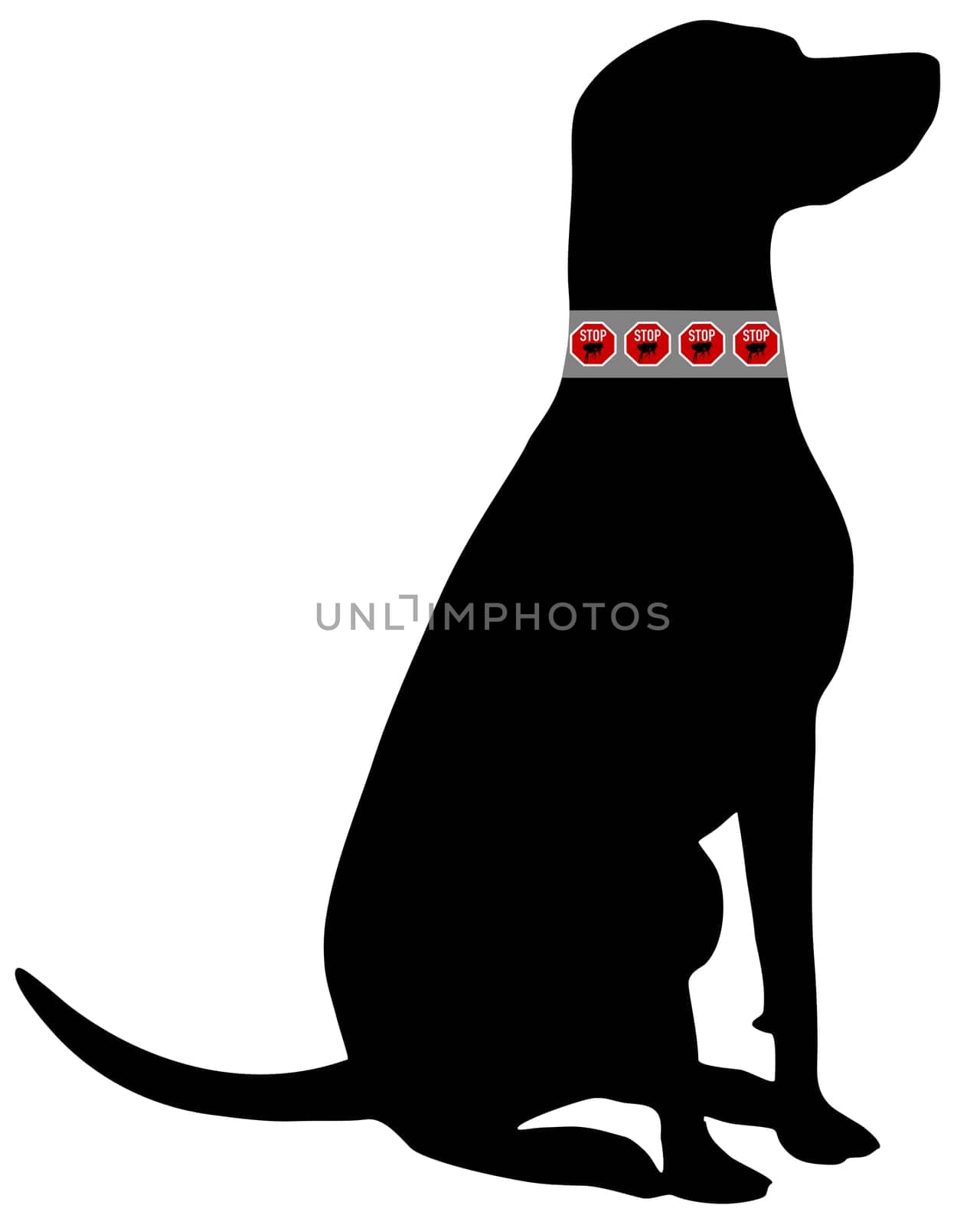 Dog Flea Collar