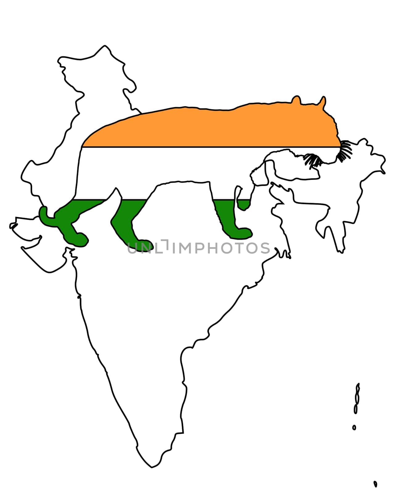 India Tiger