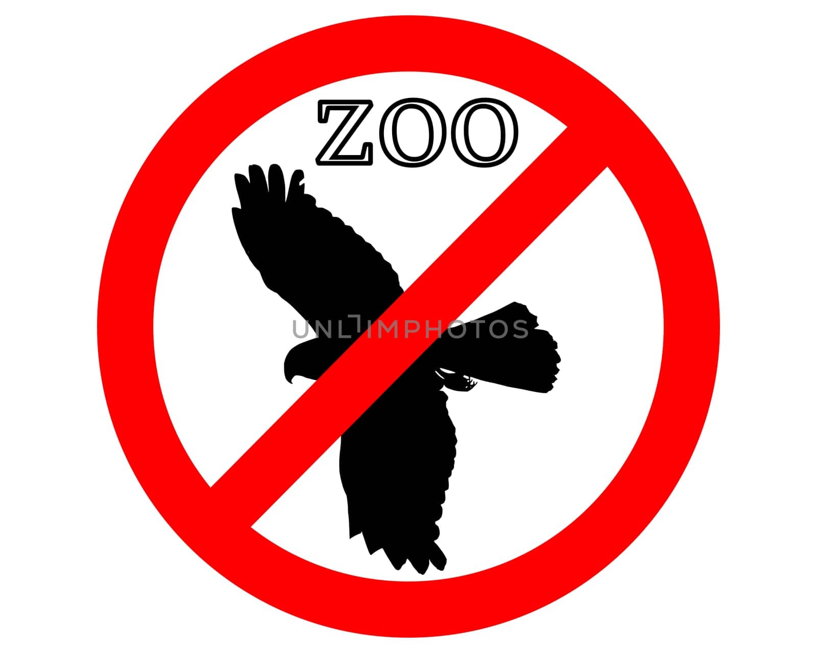 Birds of prey banned in zoos