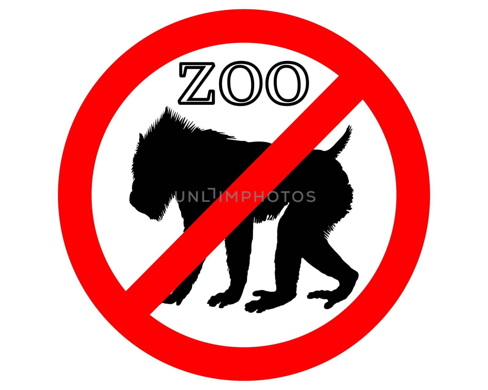 Mandrill banned in zoos