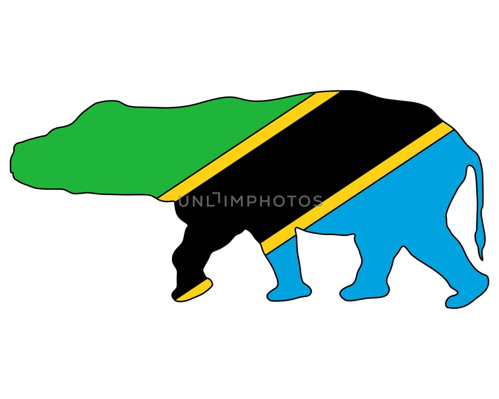 Hippopotamus Tanzania