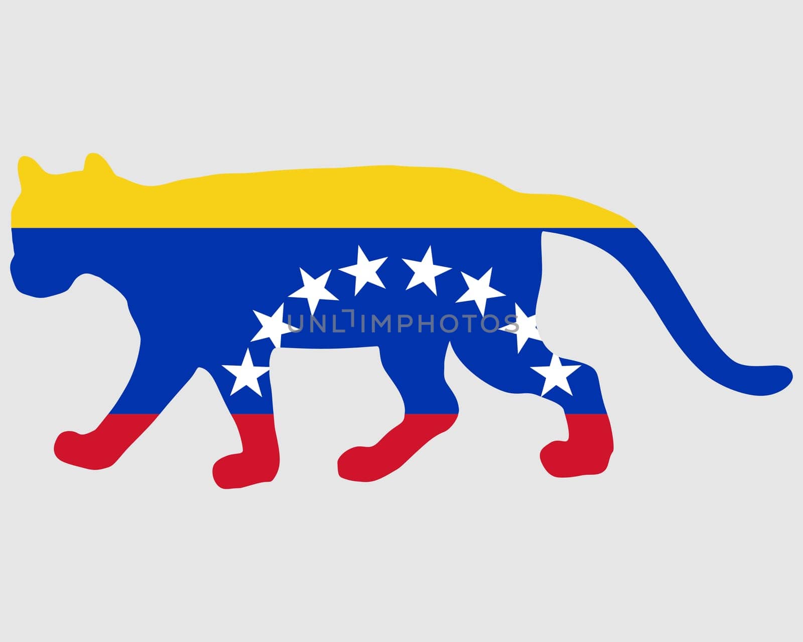 Puma Venezuela