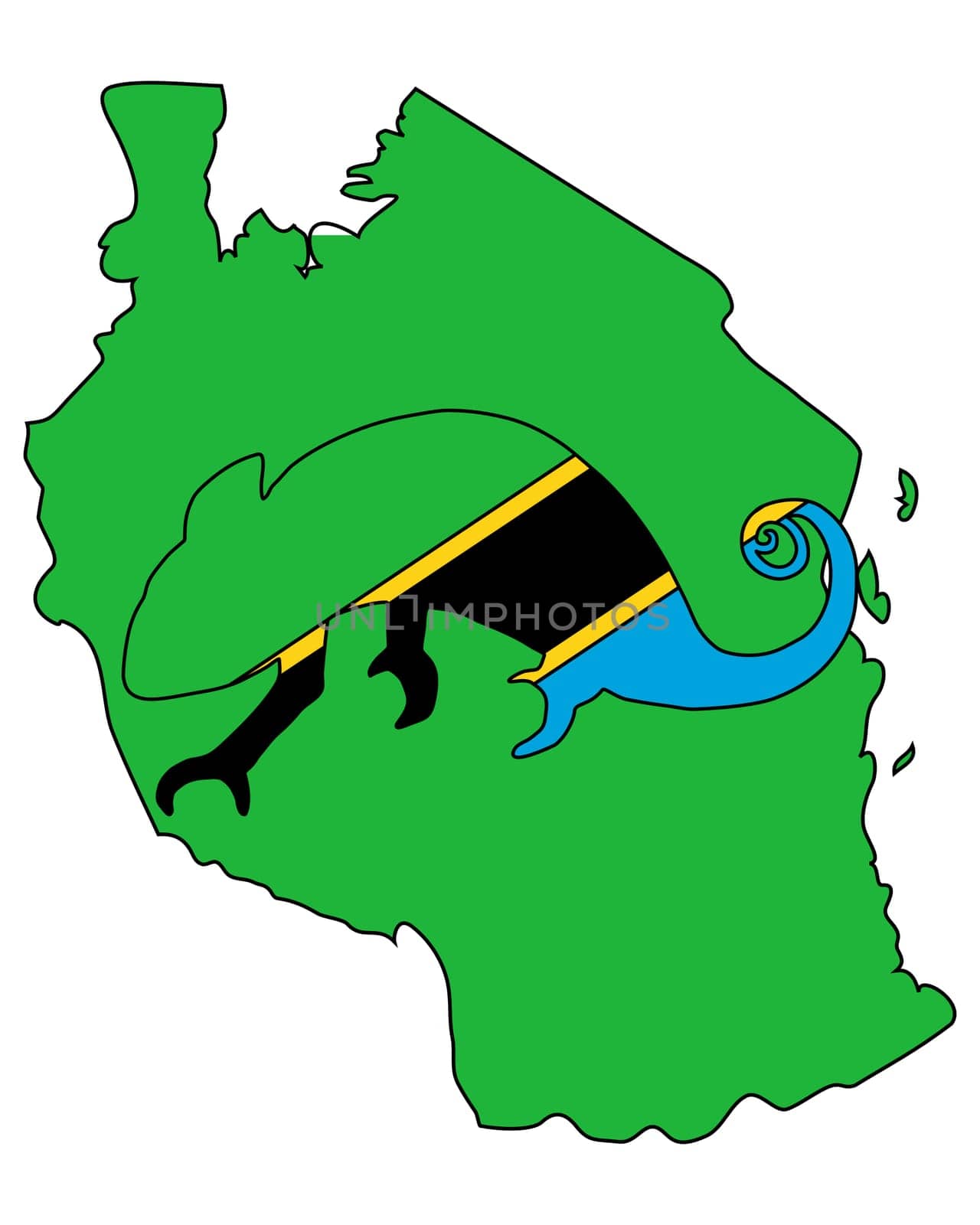Tanzania Chameleon