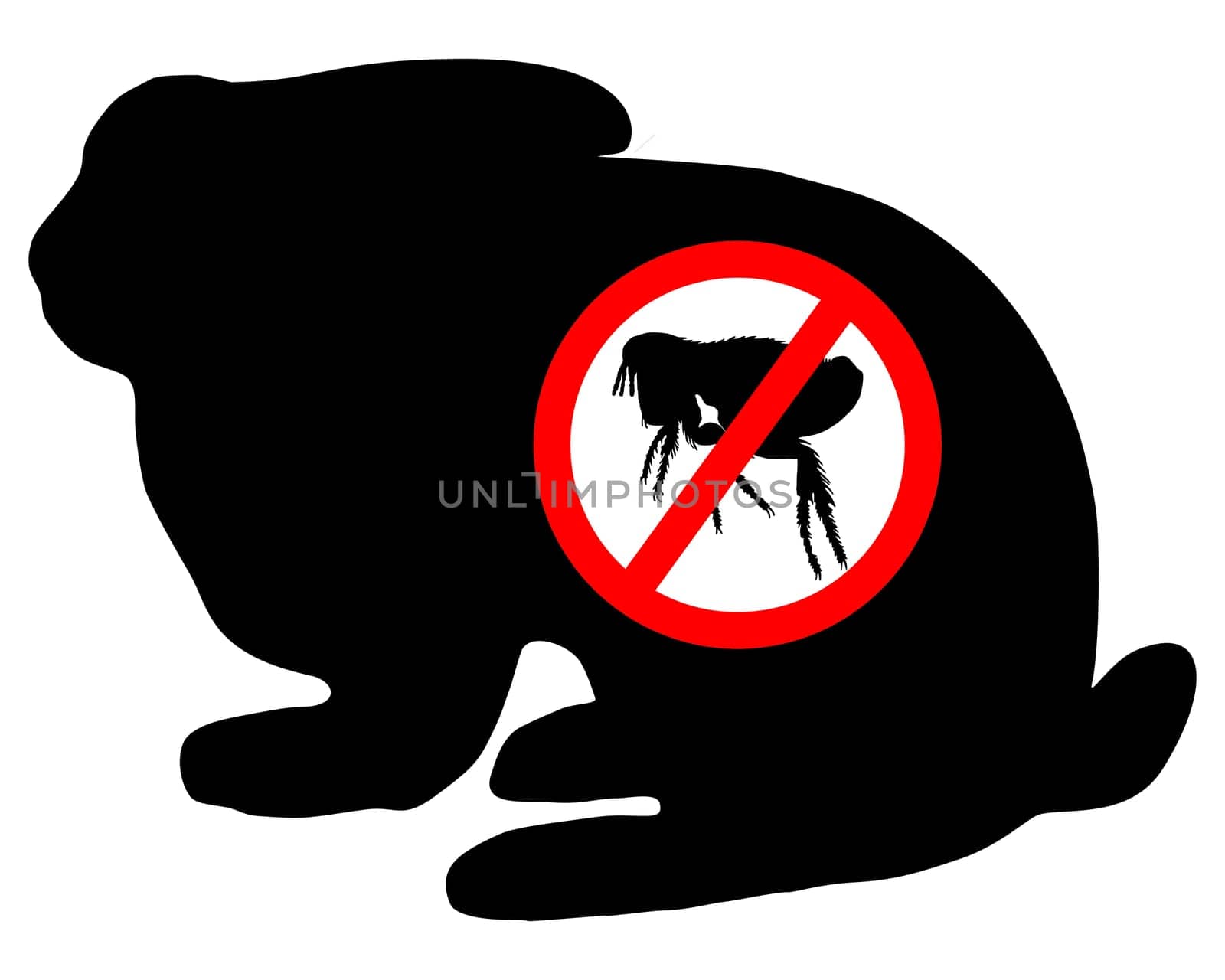 Rabbit flea prohibited