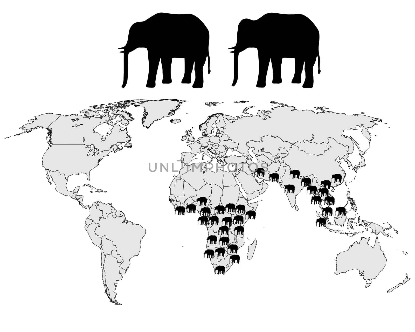 Elephant Distribution