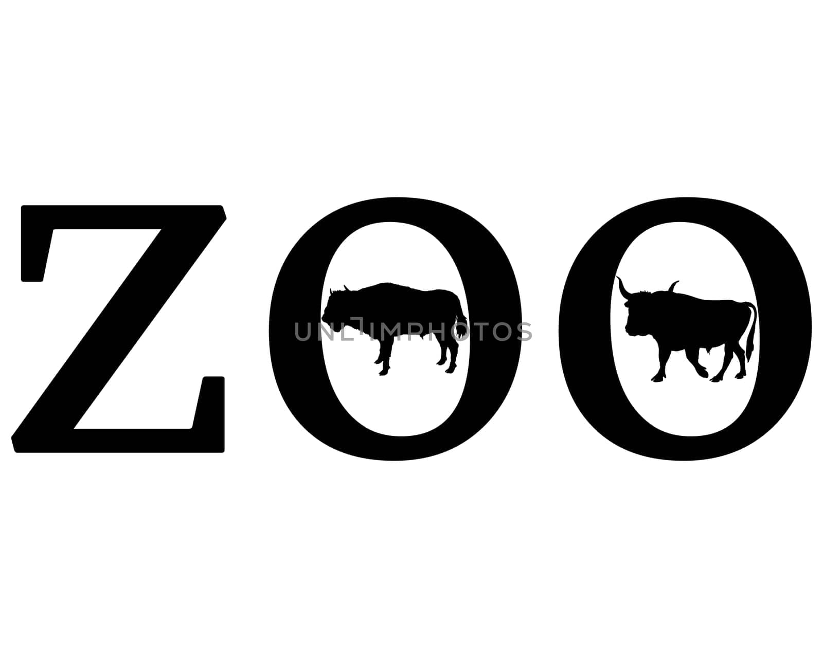Zoo Animals