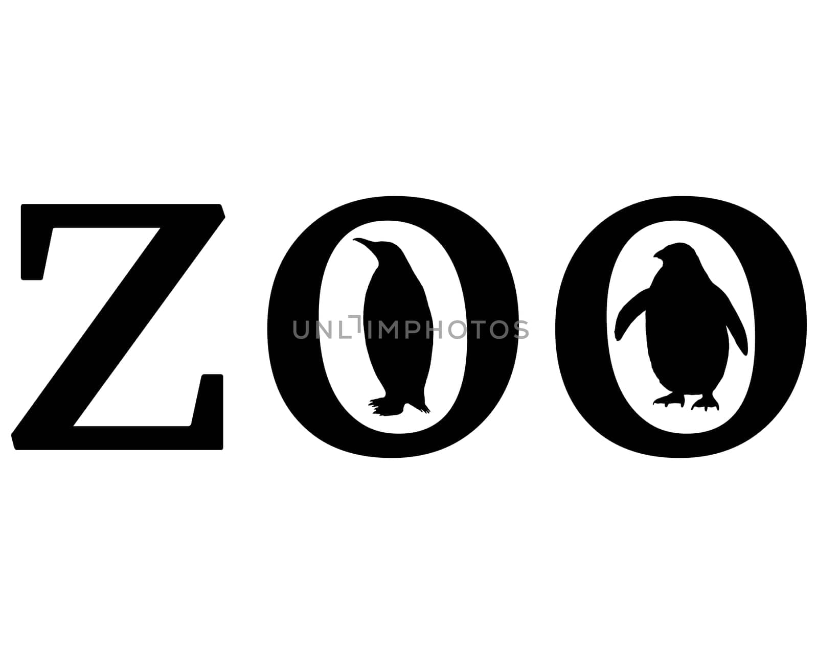 Zoo Animals