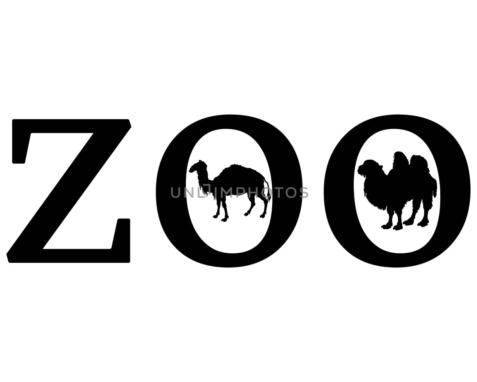 Zoo Animals