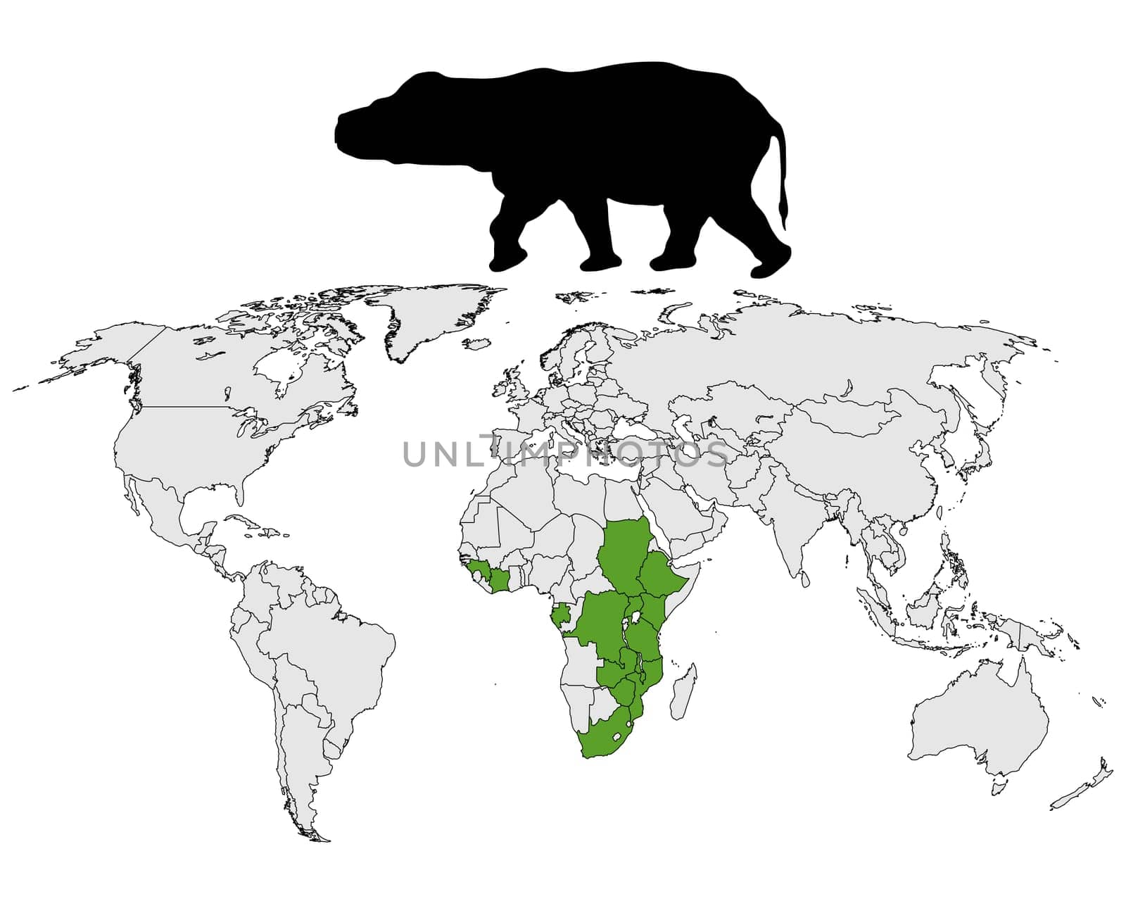 Hippopotamus Distribution