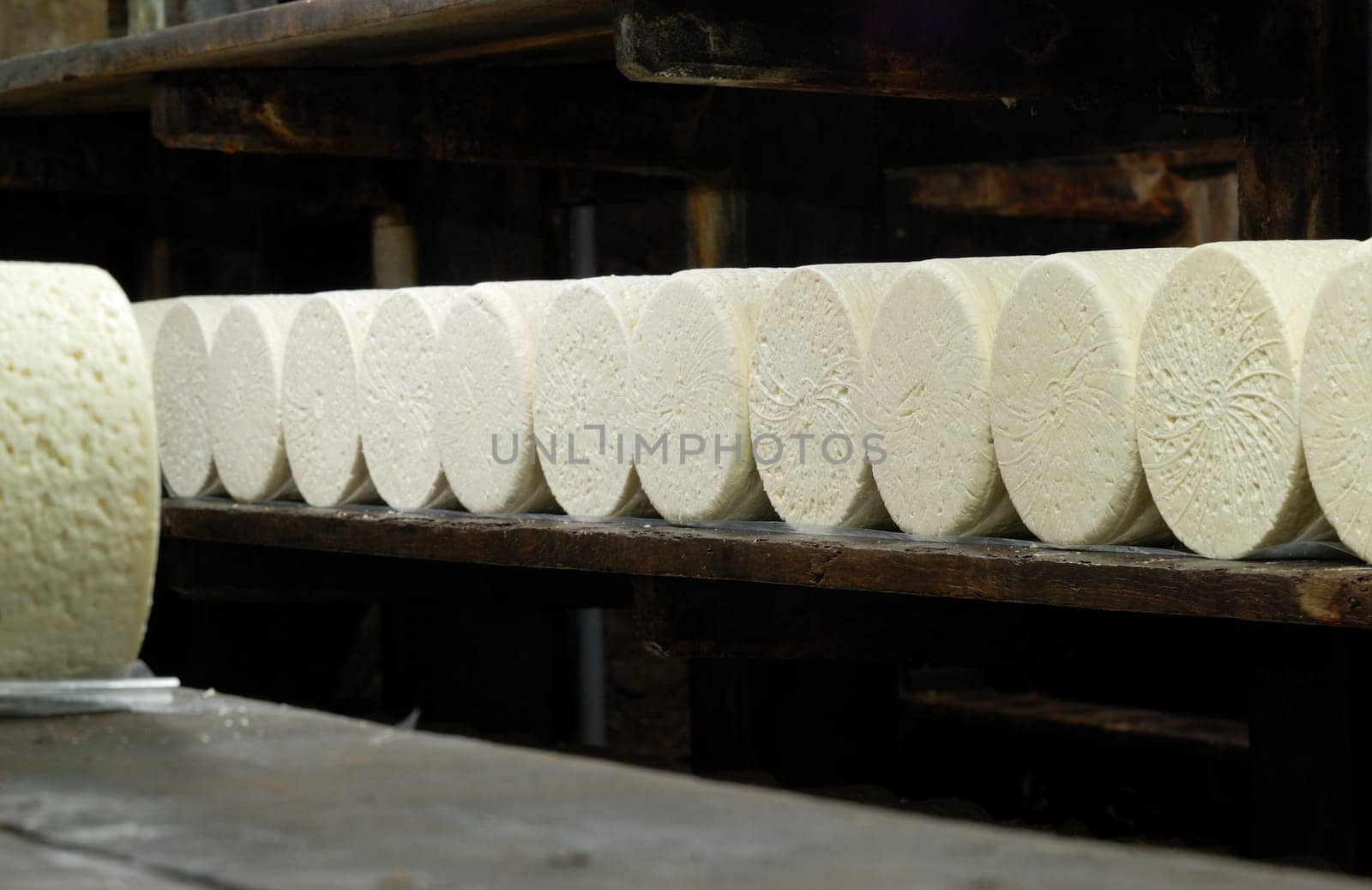Roquefort cheese in refining in a typical cellard