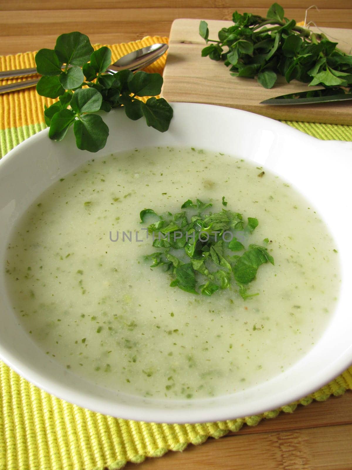 Herb cream soup with watercress