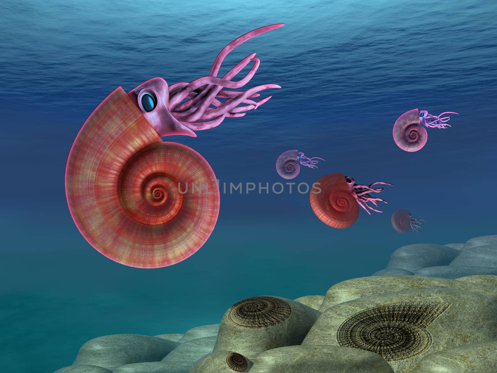Illustration of ammonites swimming in the sea