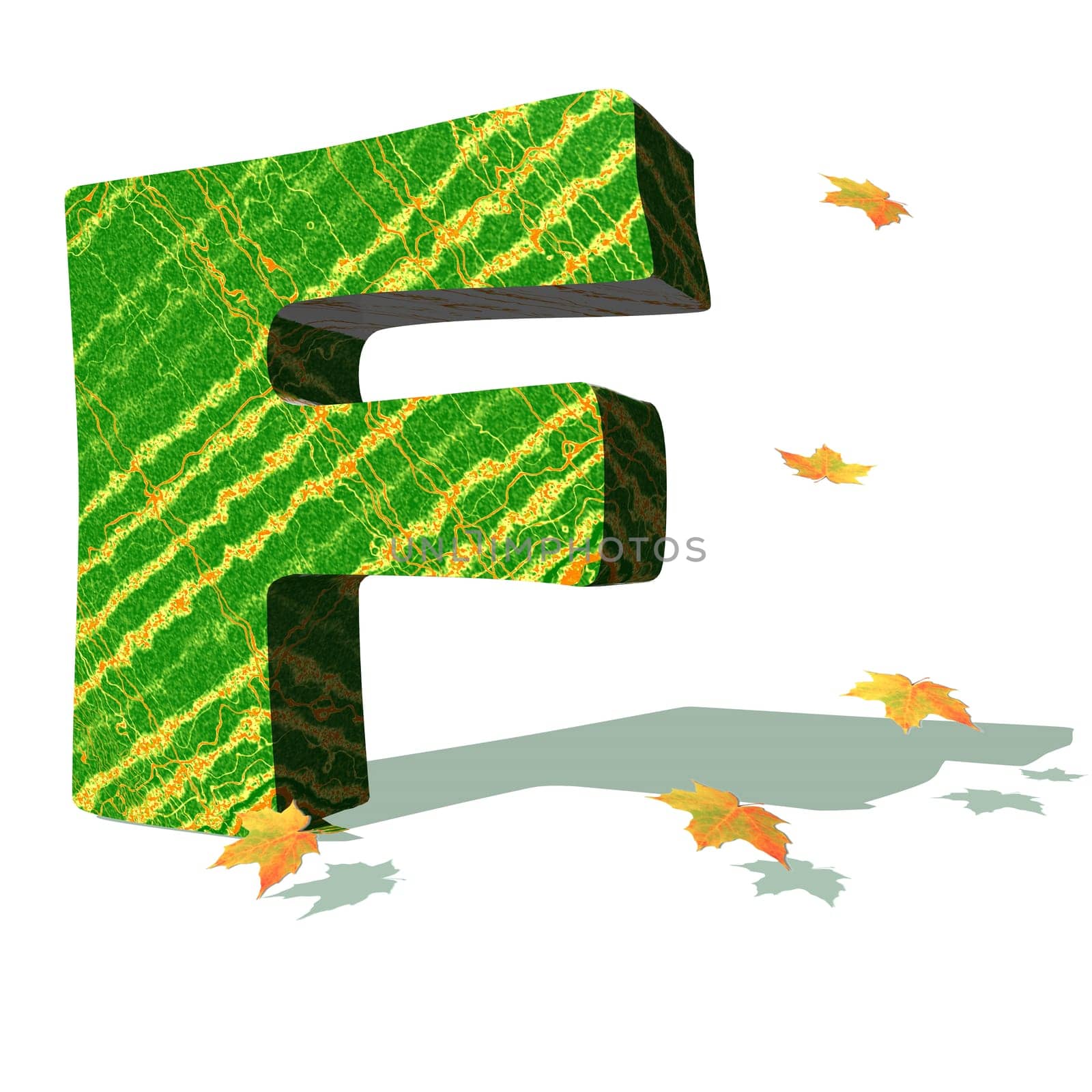 Green ecological F capital letter surrounded by few autumn falling leaves in a white background with shadows
