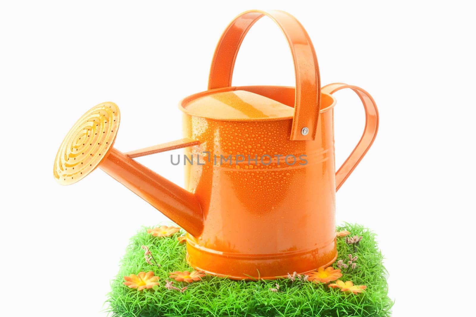 Watering Can