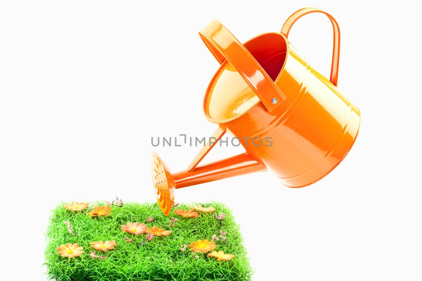 Watering Can