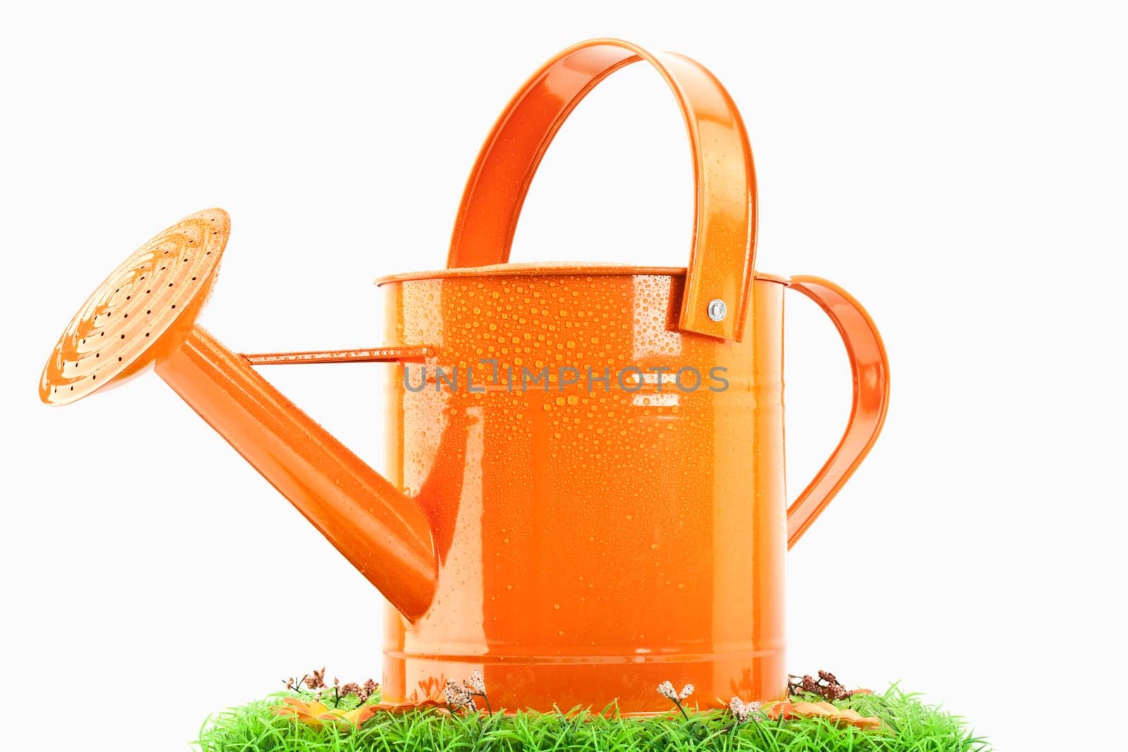 Watering Can