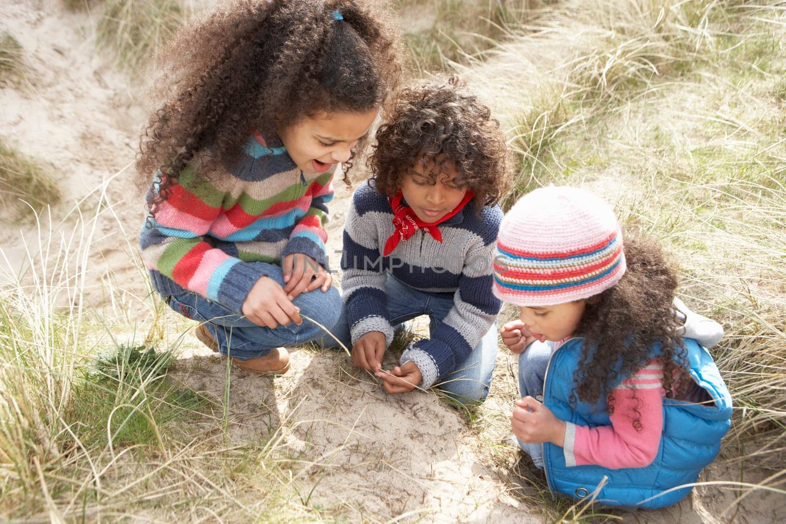 Children Playing In Dunes On Winter Beach