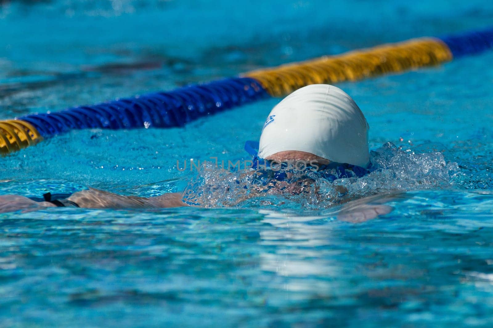 Swimmer
