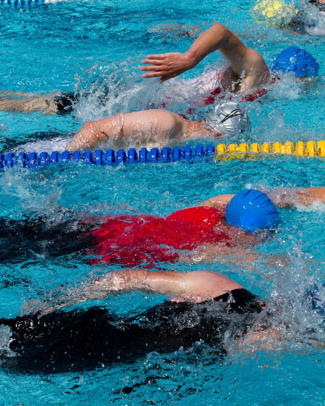 Crawl swimmers in competition
