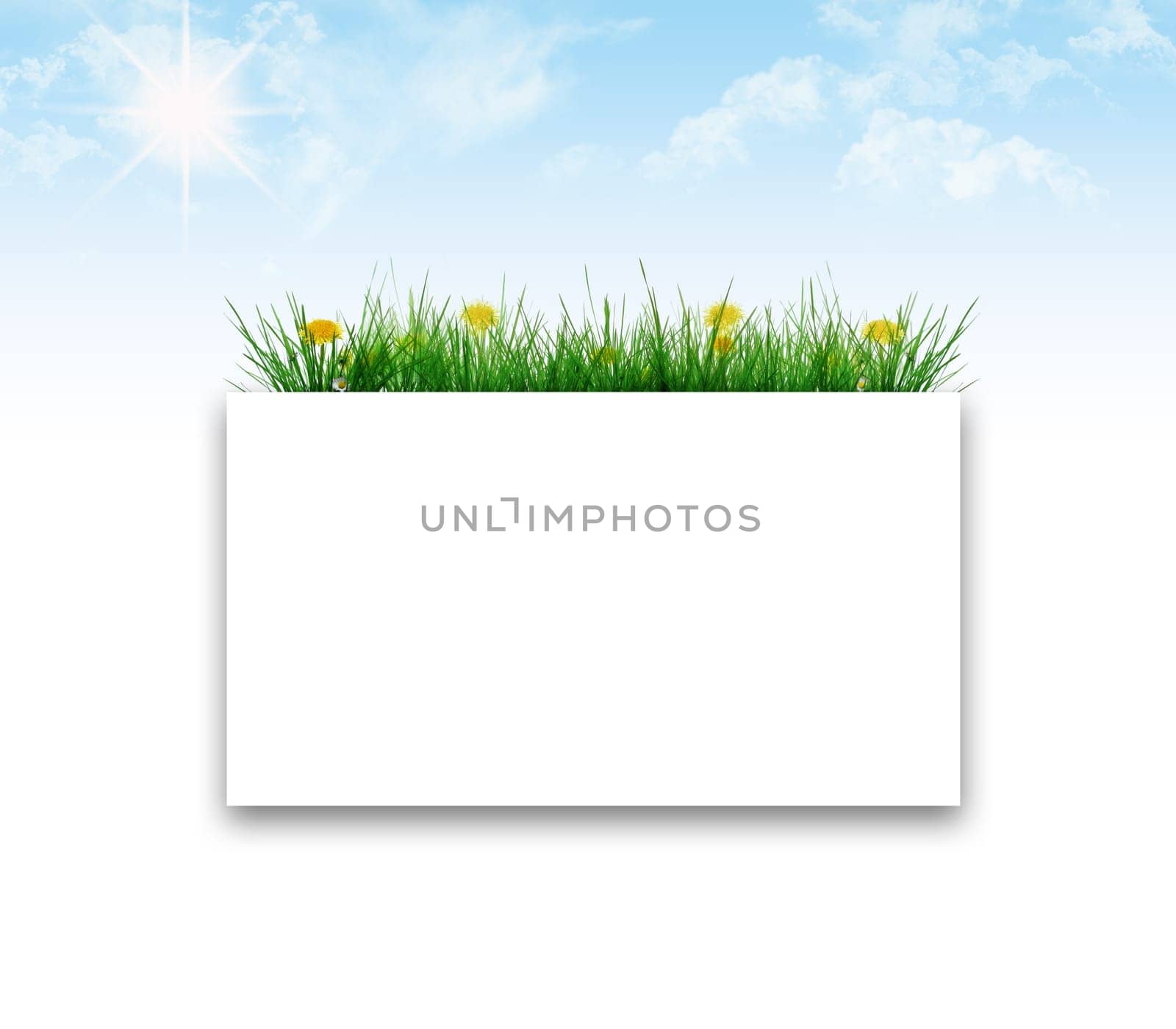 grass frame