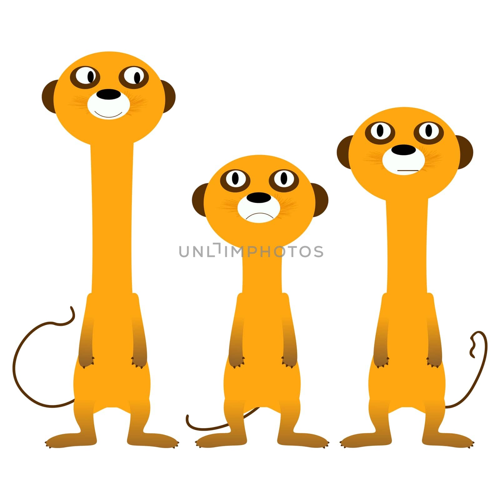 Curious meerkats, isolated and grouped objects over white background