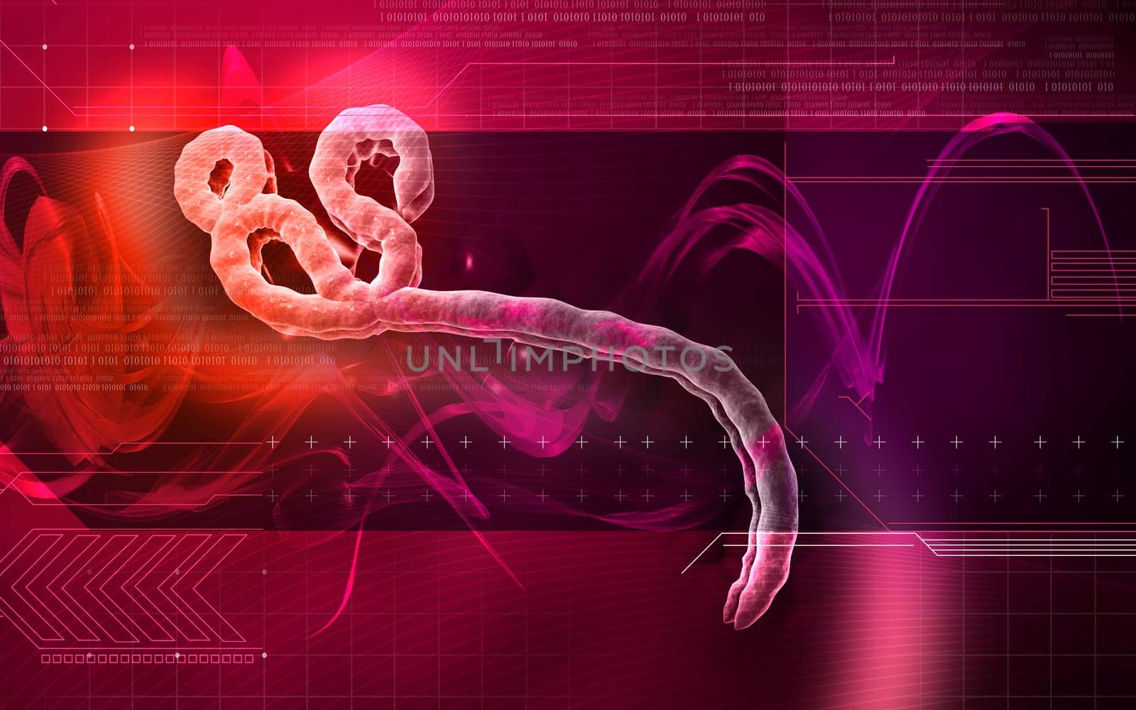 Digital illustration of Ebola virus in colour background