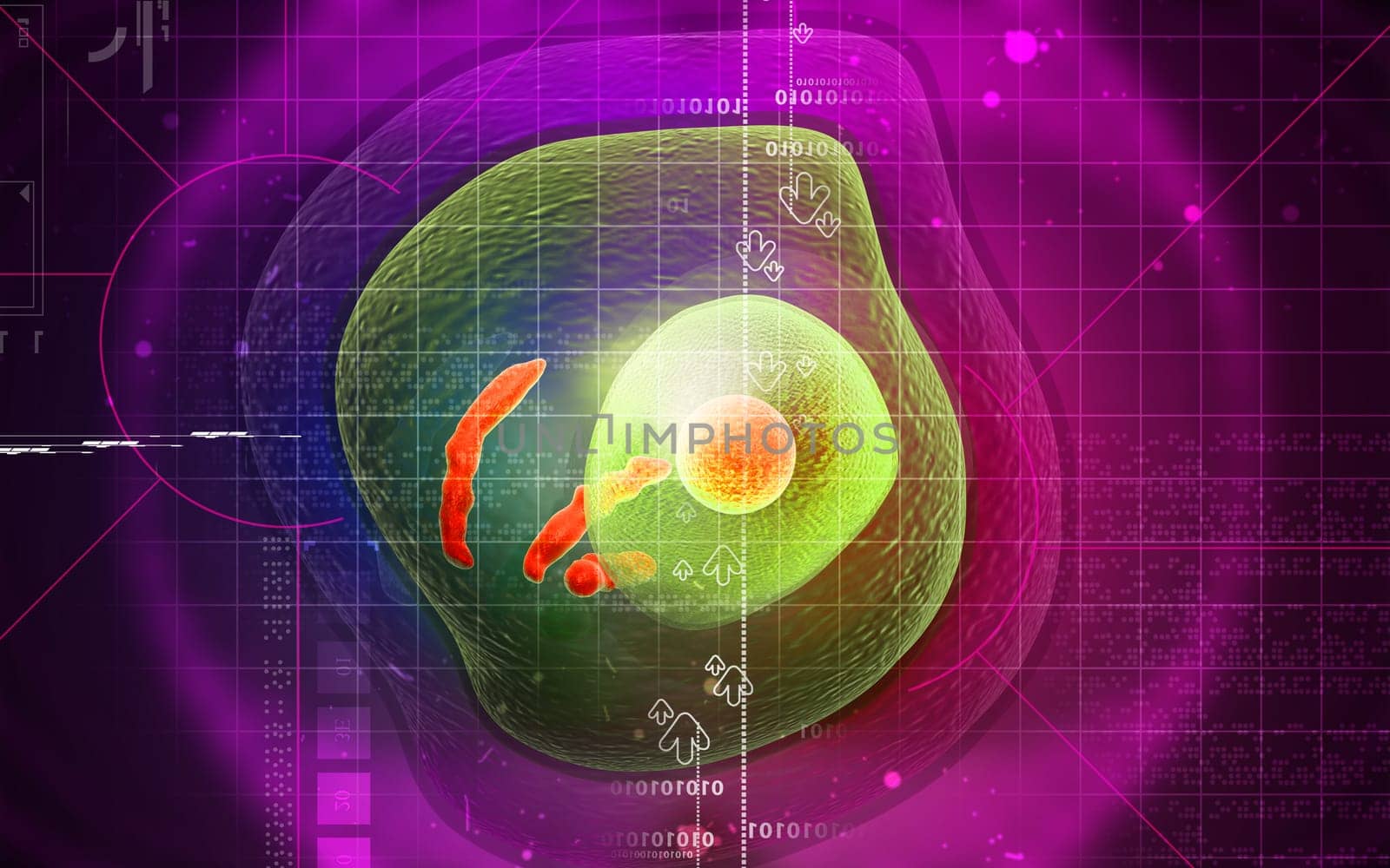 Digital illustration of human cell in colour background