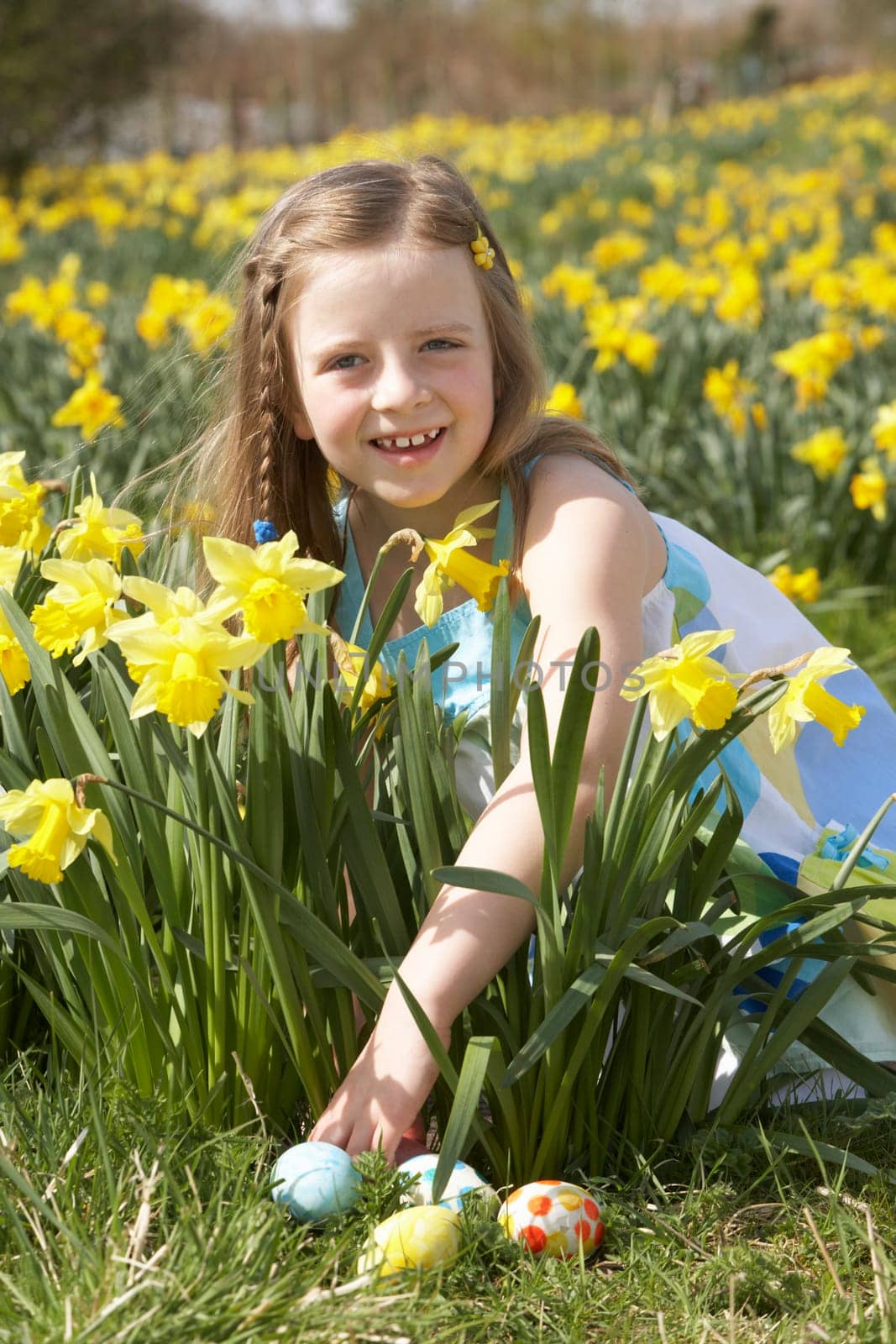 Girl On Easter Egg Hunt In Daffodil Field