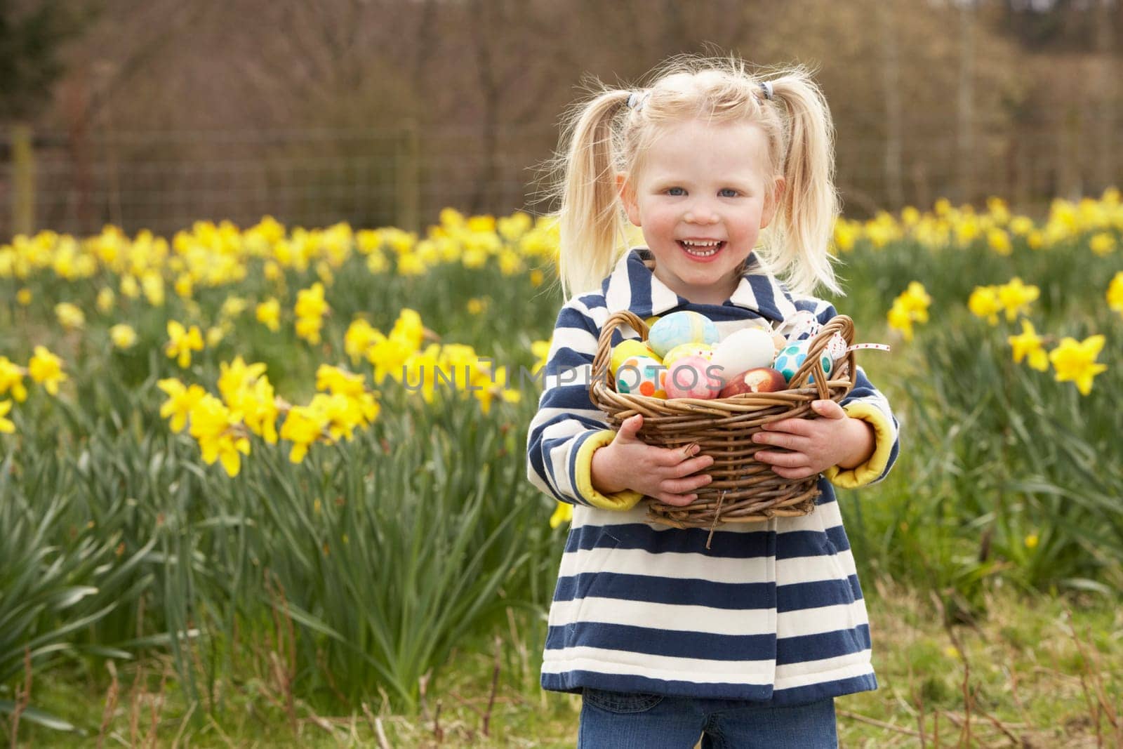 Young Girl Holding Basket Of Decorated Eggs In Daffodil Field