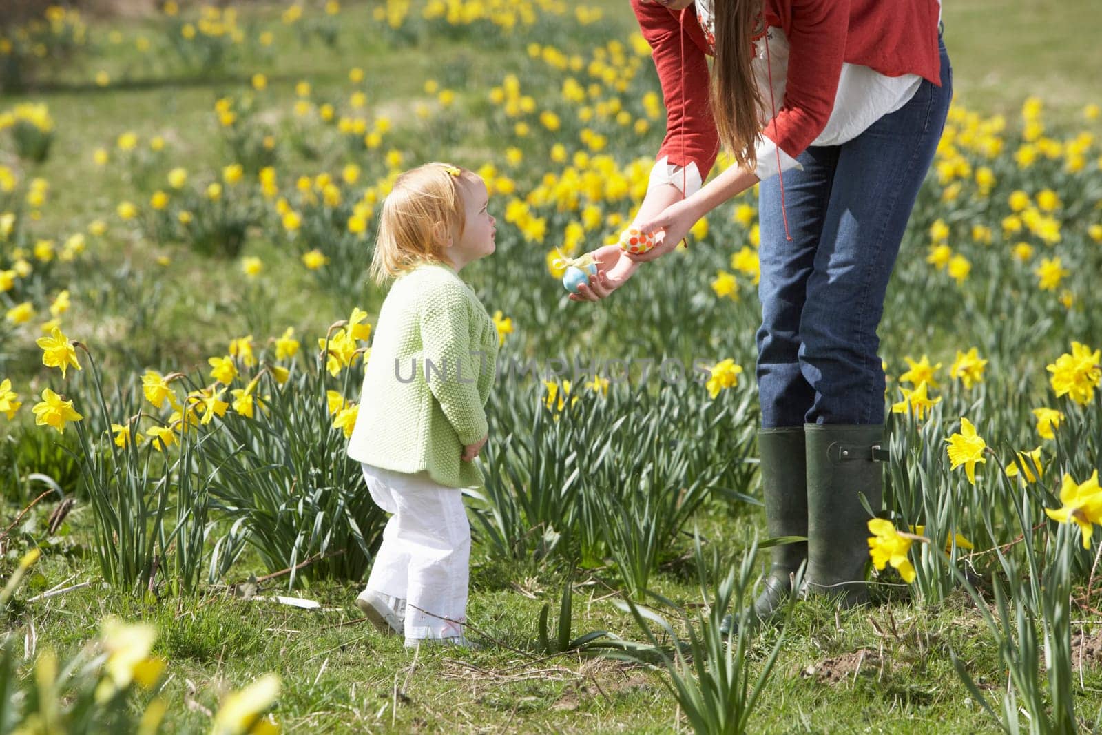 Mother And Daughter In Daffodil Field With Decorated Easter Eggs