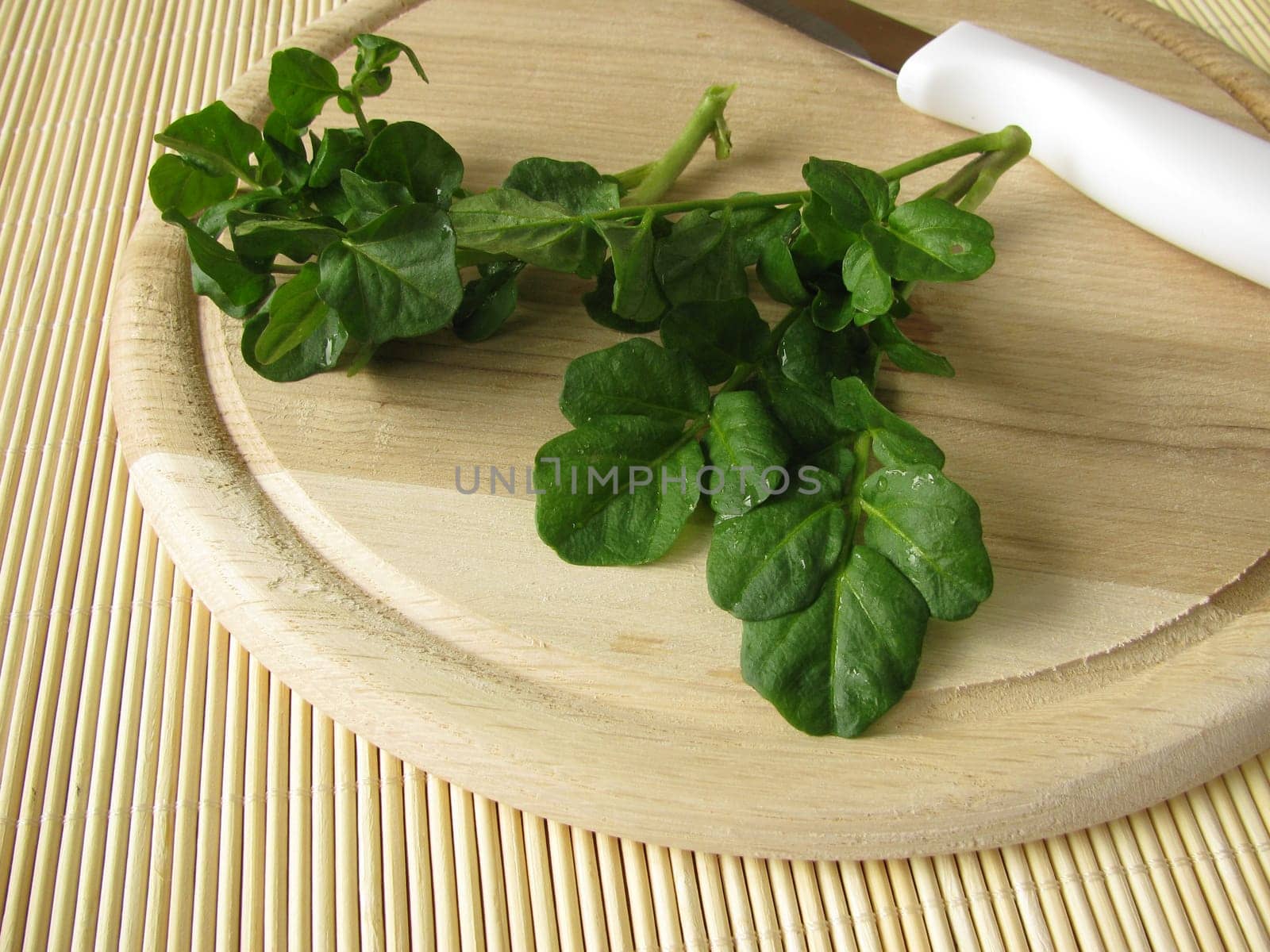 Fresh watercress on a wooden board