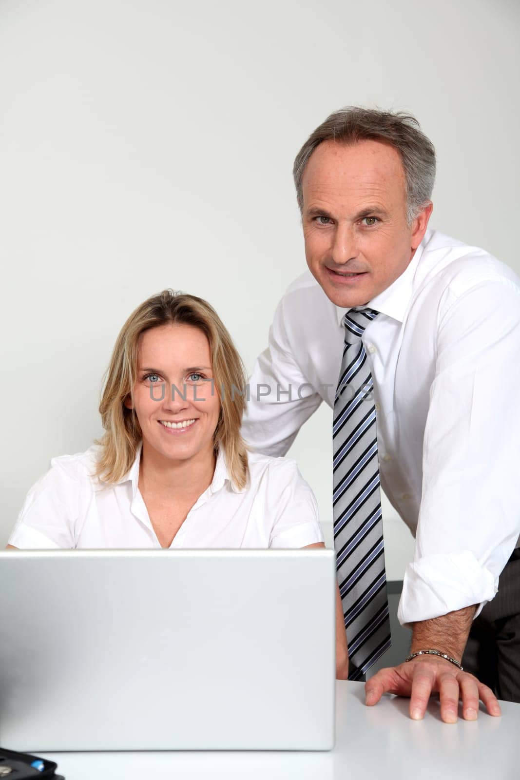 Business team working in the office