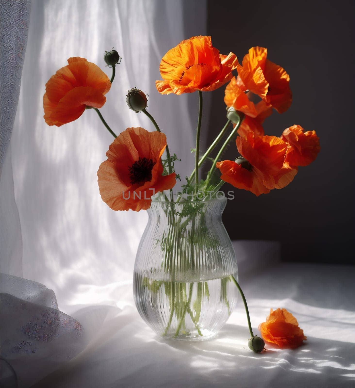 flower floral spring background sunshine table season poppy gift color bloom vase design red beautiful celebration decoration plant bouquet pink blossom. Generative AI.