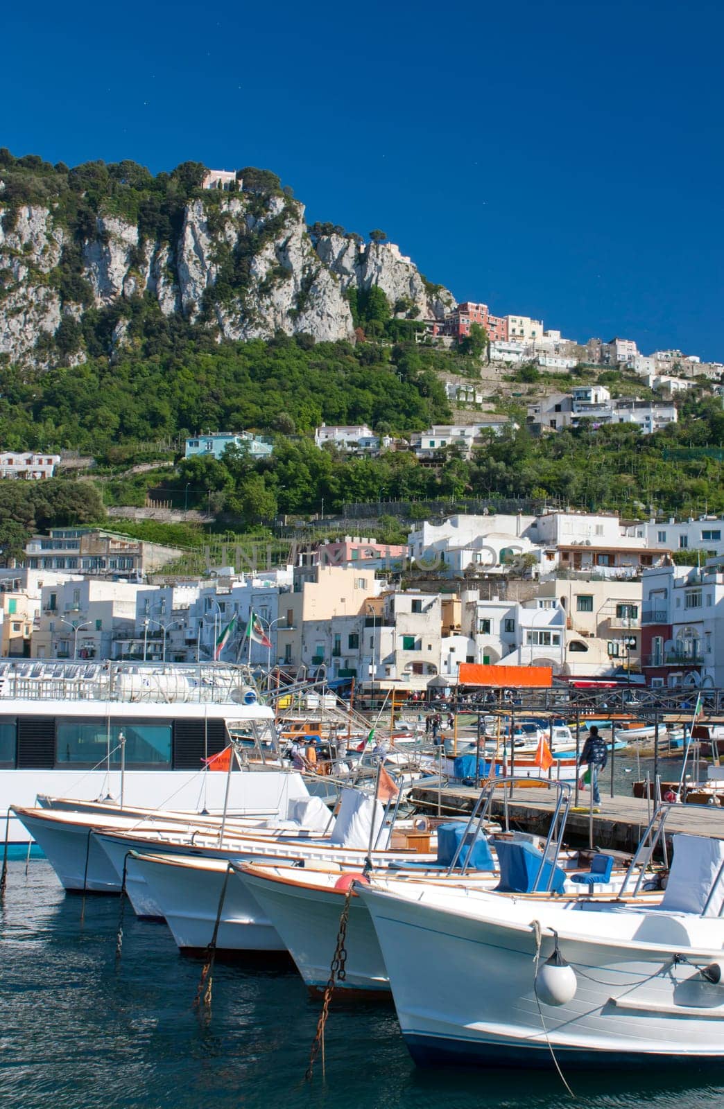 Landscape of the port of Capri in summer