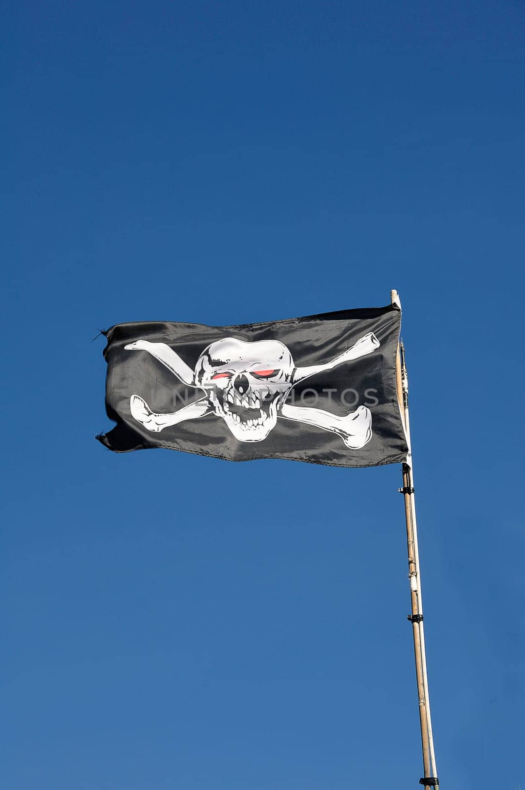 Skull Flag