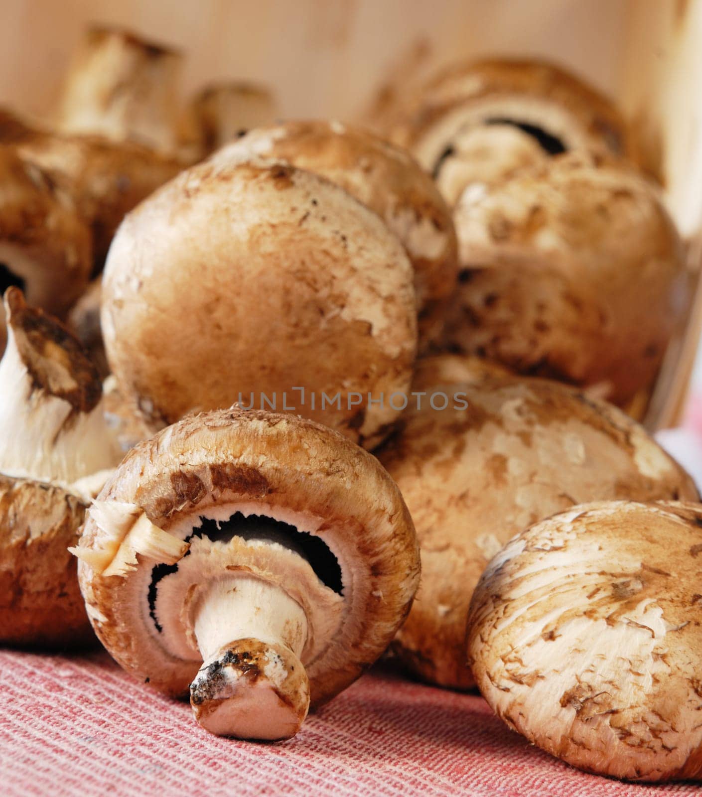 Fresh mushrooms on burlap