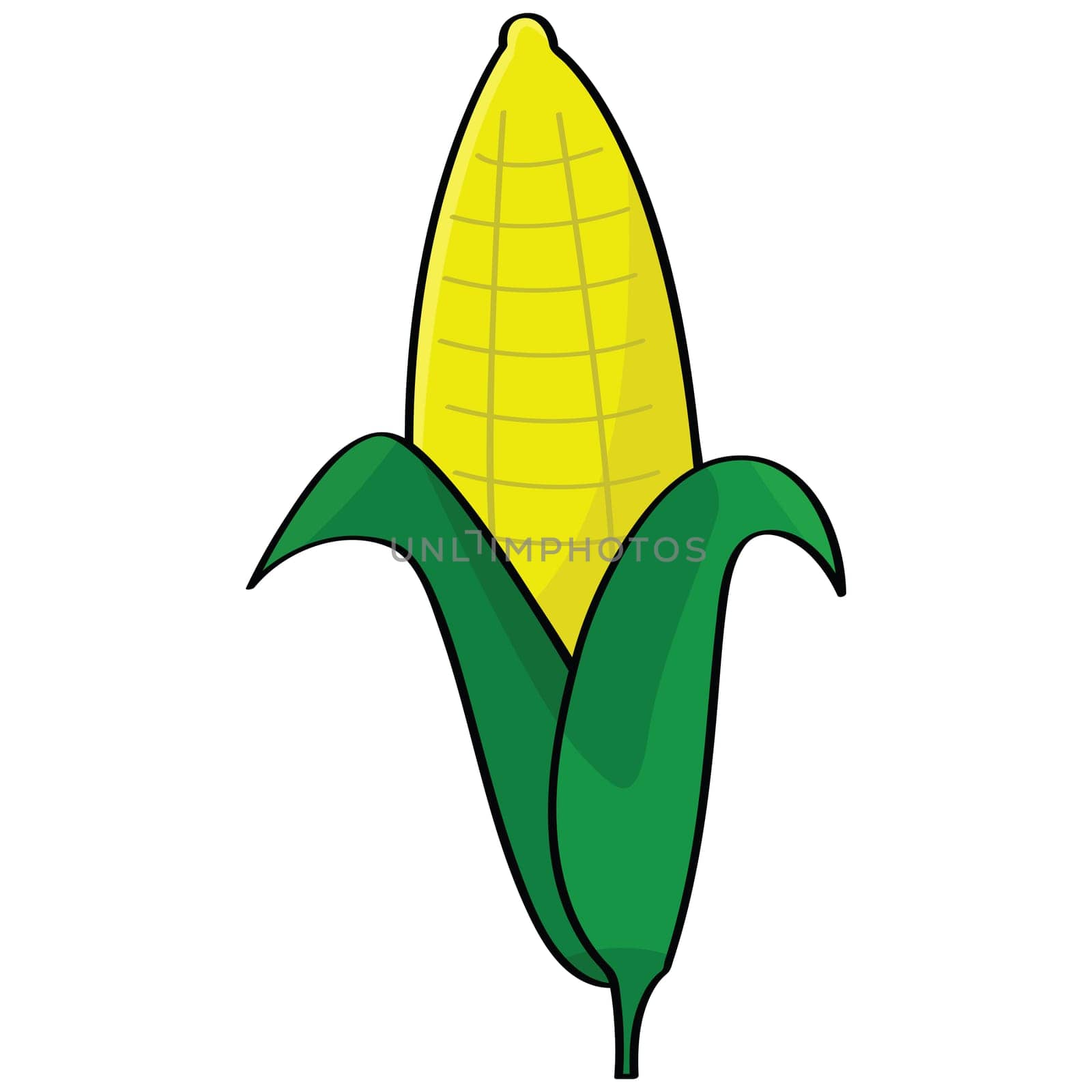 Cartoon illustration of a sweet corn cob
