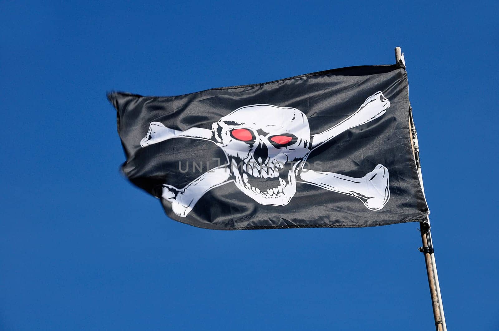 Flag with skull