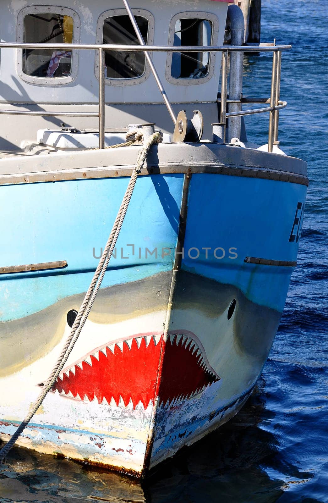 Fish cutter painted