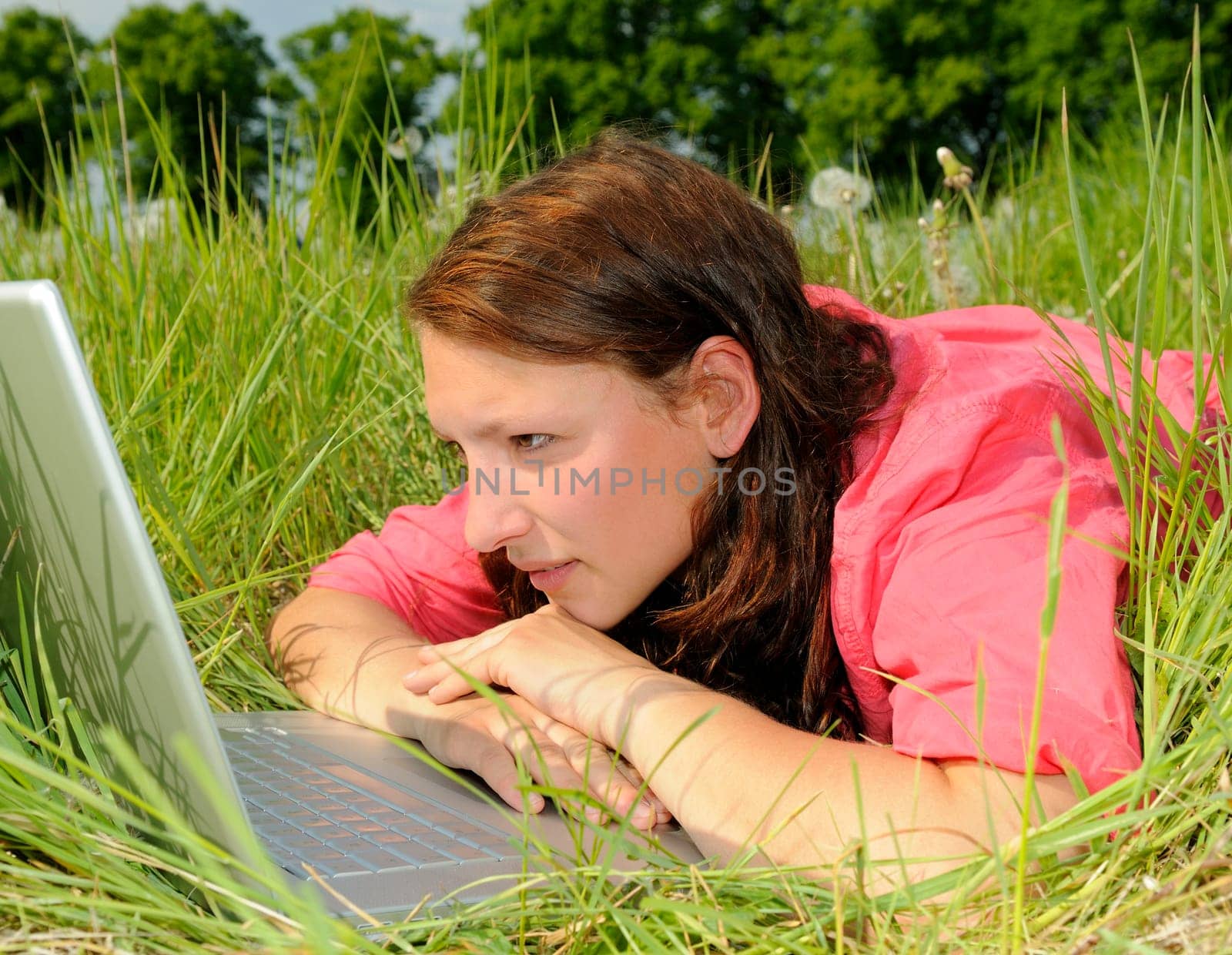 Young woman with laptop in a meadow