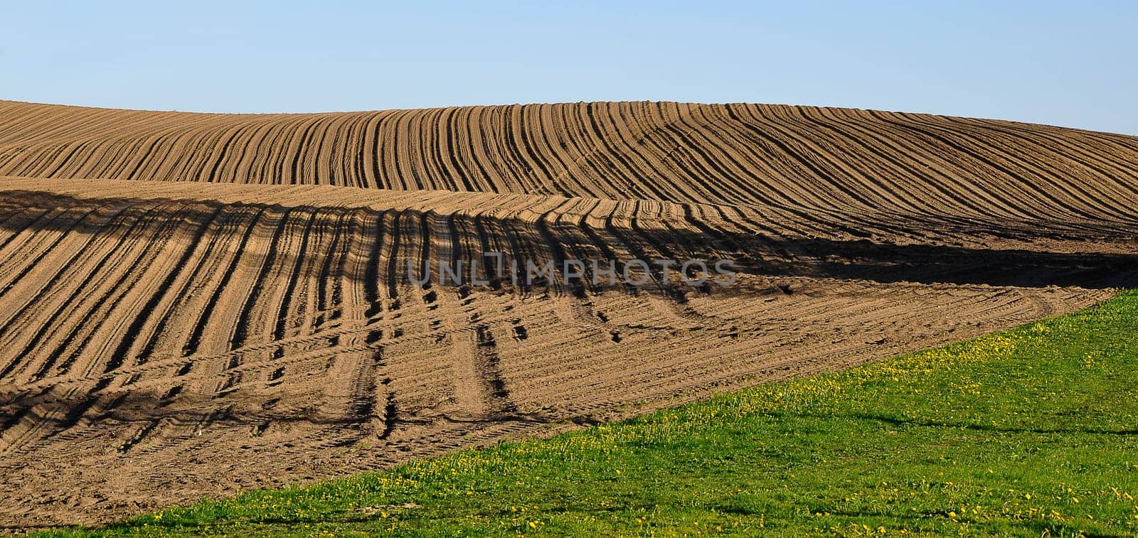 brown earth