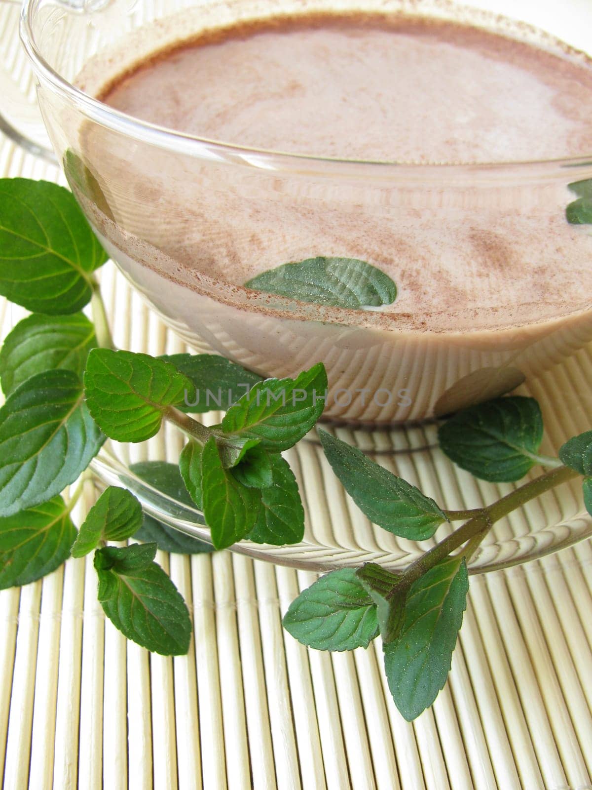 Cocoa with chocolate mint